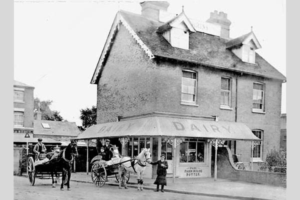 No 100 Dairy c.1910